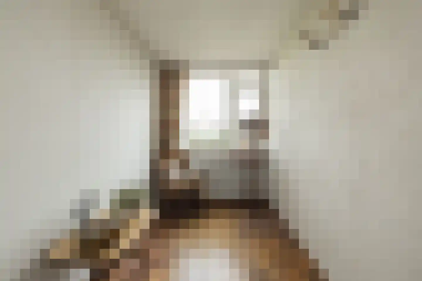 Kagerdreef 96 Sassenheim thumbnail 39