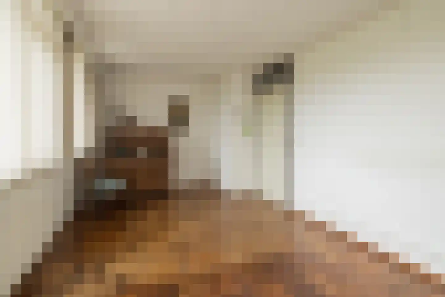 Kagerdreef 96 Sassenheim thumbnail 47