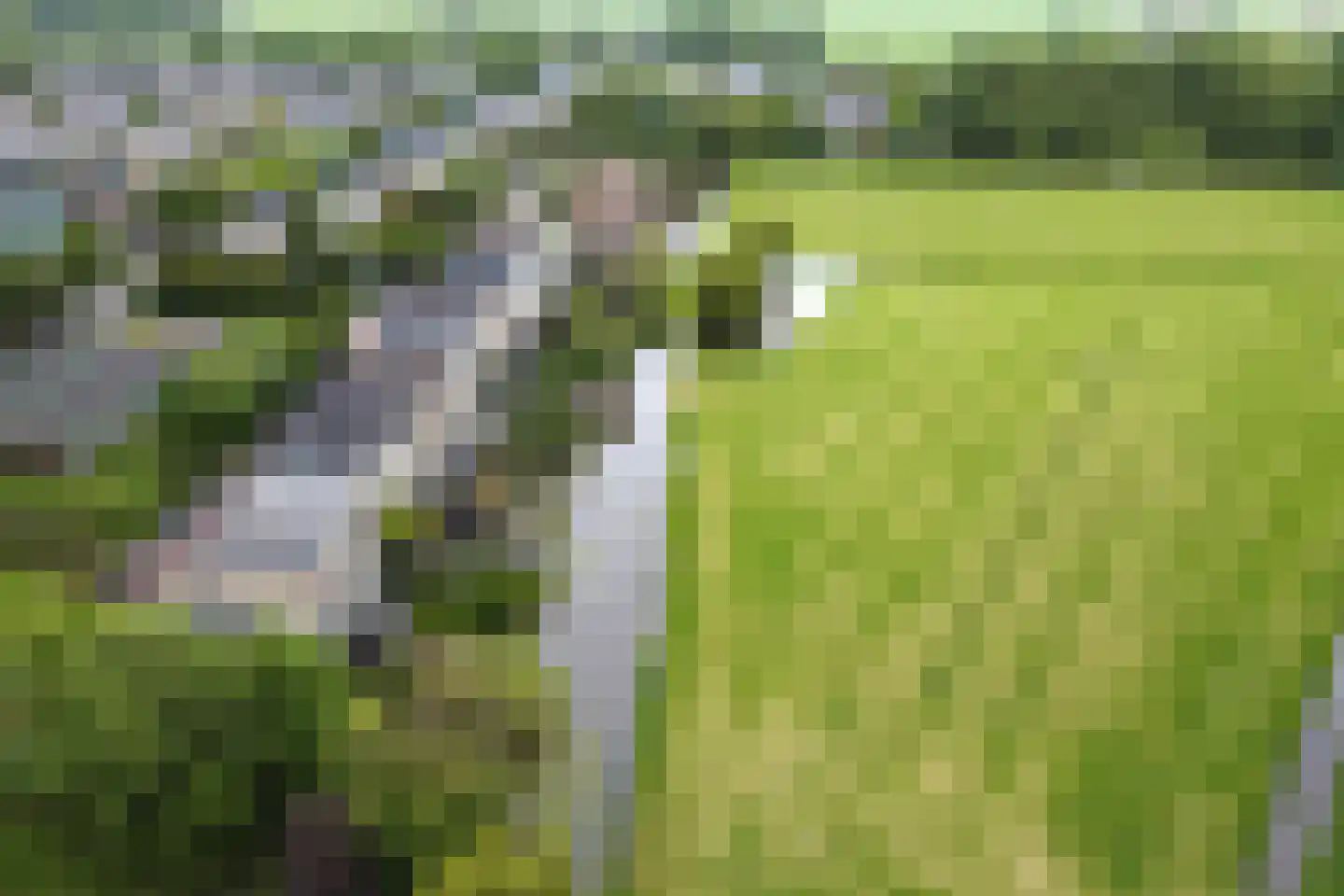 Kagerdreef 96 Sassenheim thumbnail 55