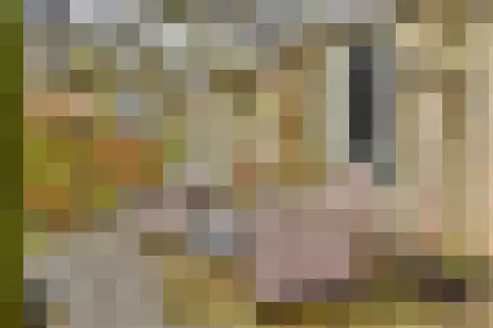 Kagersingel 1 Sassenheim thumbnail 13