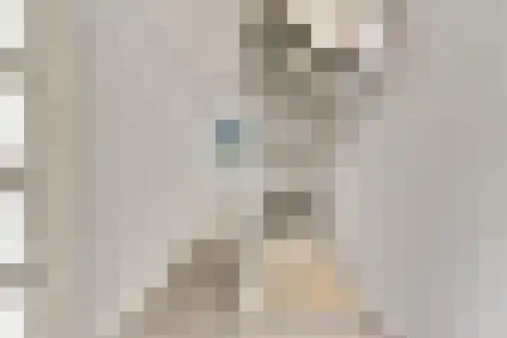 Kagersingel 1 Sassenheim thumbnail 15