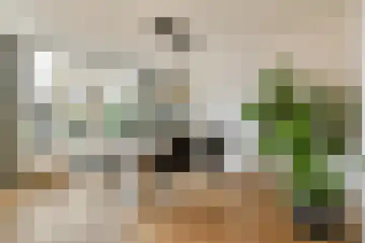 Kagersingel 1 Sassenheim thumbnail 8
