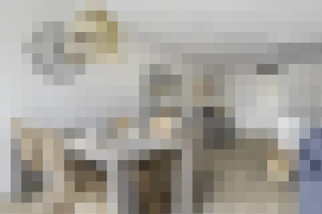 Kagerstraat 5 Leiden thumbnail 4