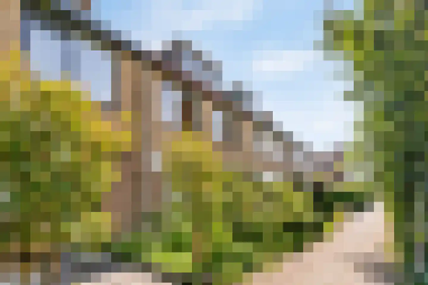 Kagertuinen 100 Sassenheim