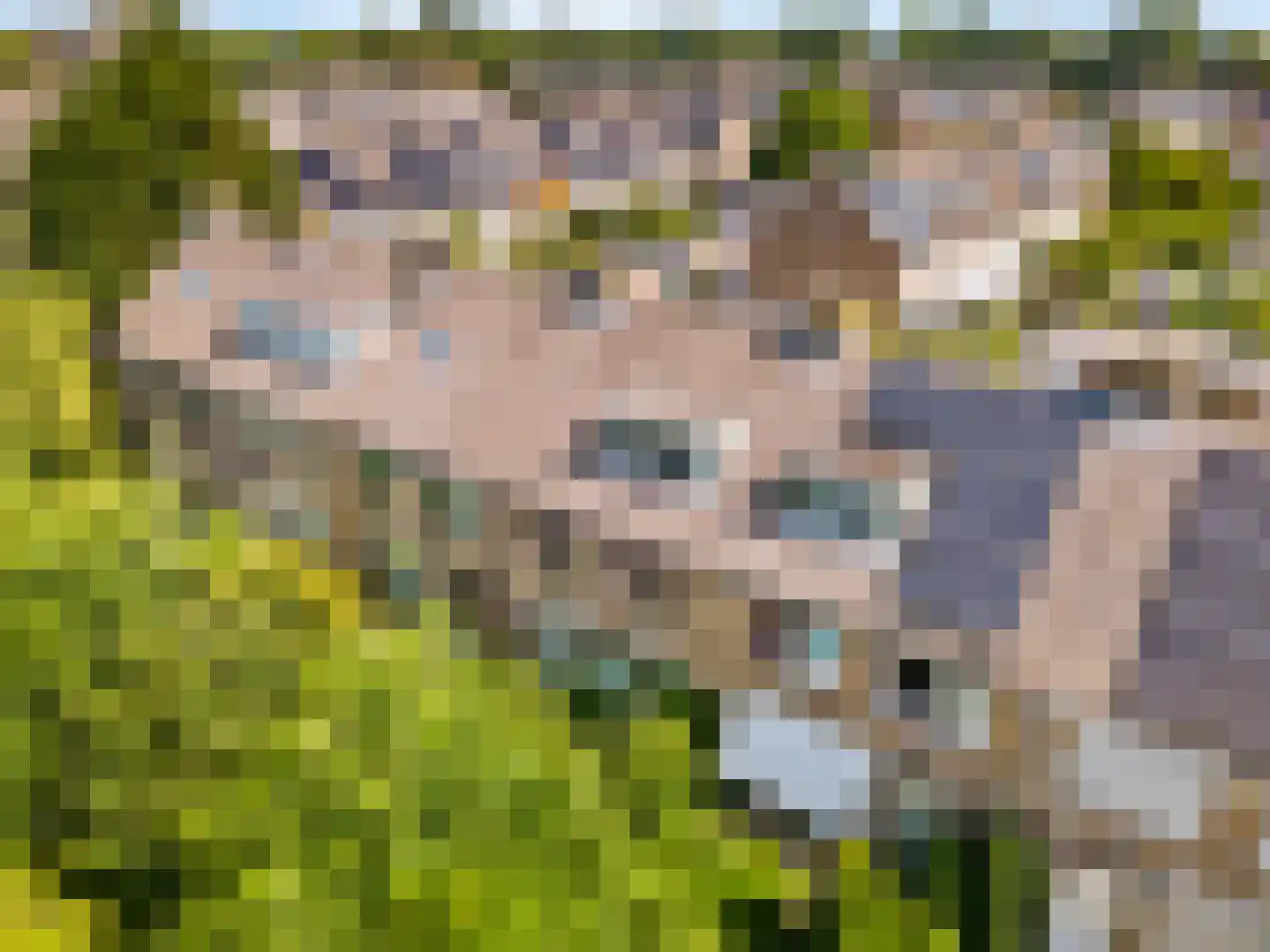 Kagertuinen 100 Sassenheim foto 3