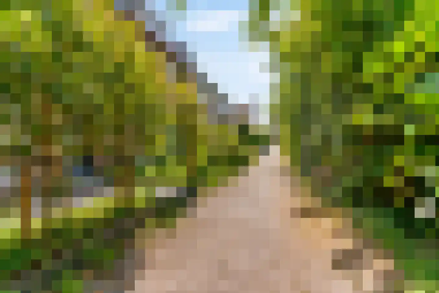 Kagertuinen 100 Sassenheim thumbnail 4