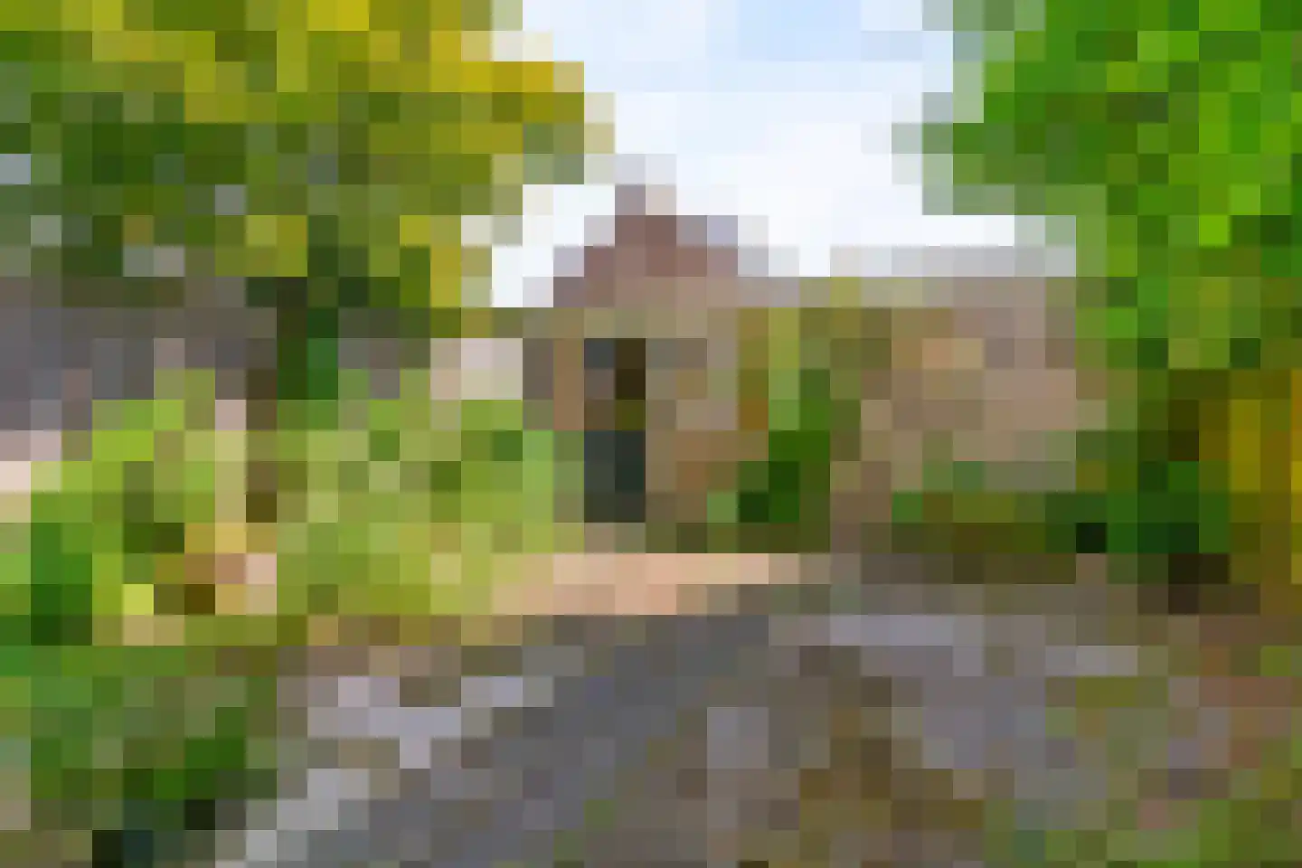 Kagertuinen 100 Sassenheim thumbnail 40