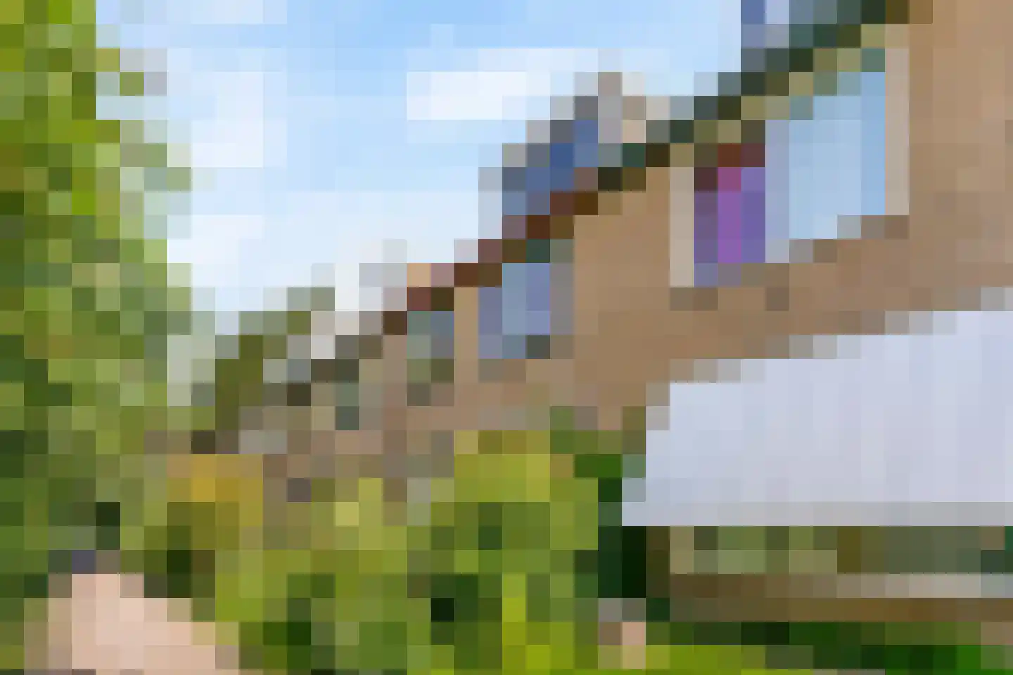 Kagertuinen 100 Sassenheim thumbnail 45