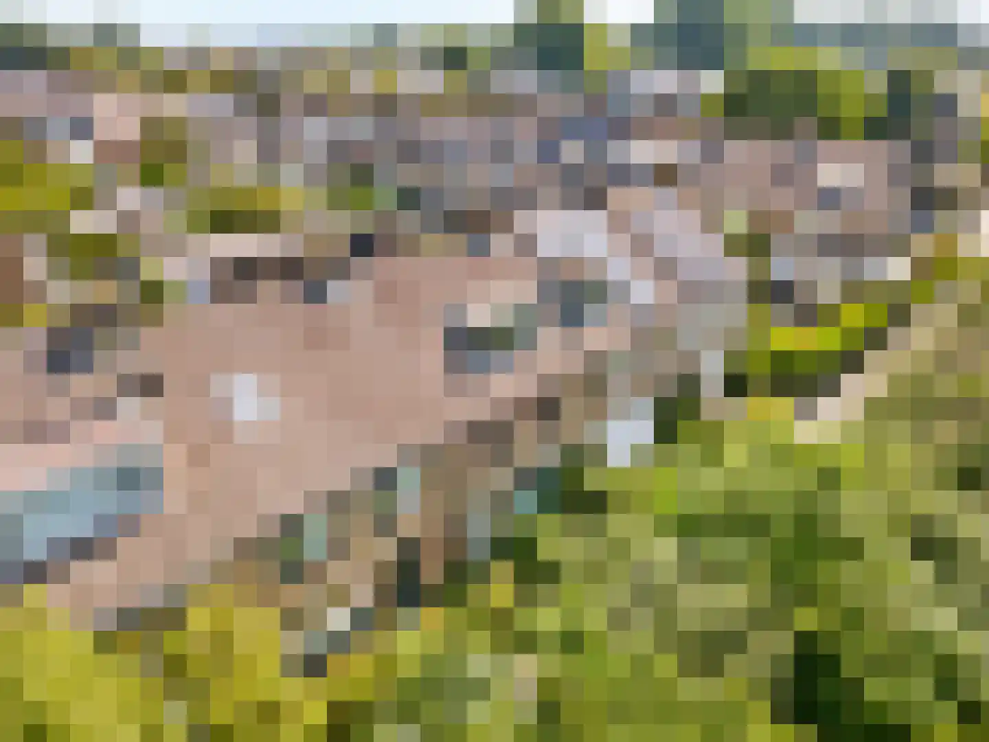Kagertuinen 100 Sassenheim thumbnail 48