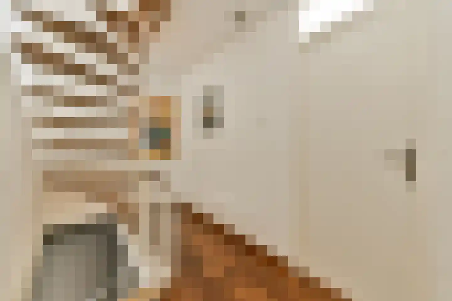 Kagertuinen 71 Sassenheim thumbnail 14