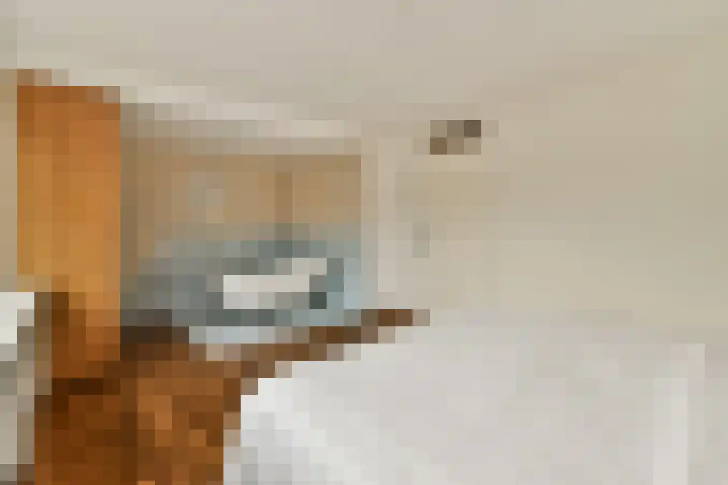 Kagertuinen 71 Sassenheim thumbnail 16
