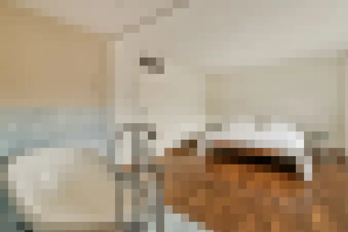 Kagertuinen 71 Sassenheim thumbnail 18