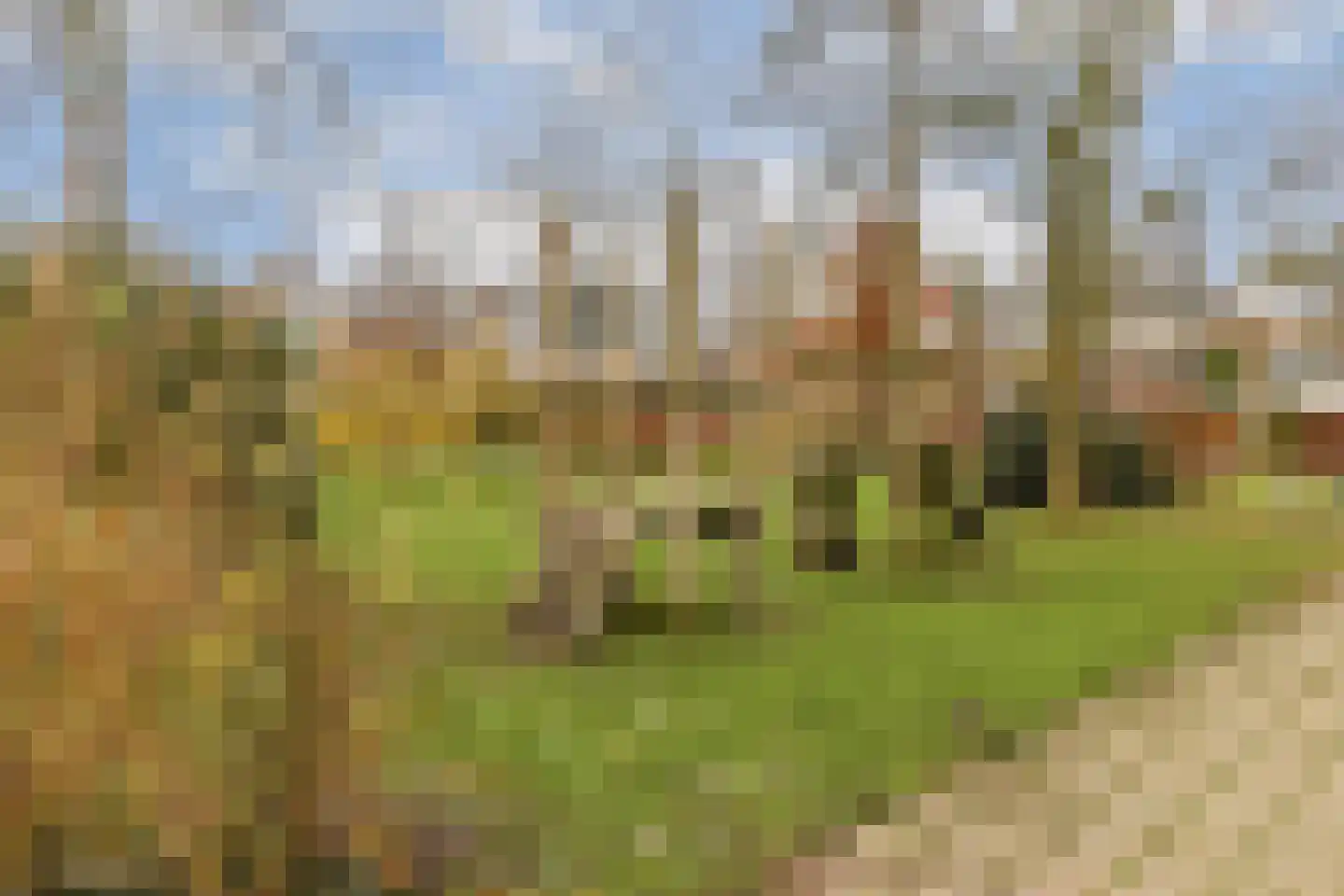Kagertuinen 71 Sassenheim thumbnail 30
