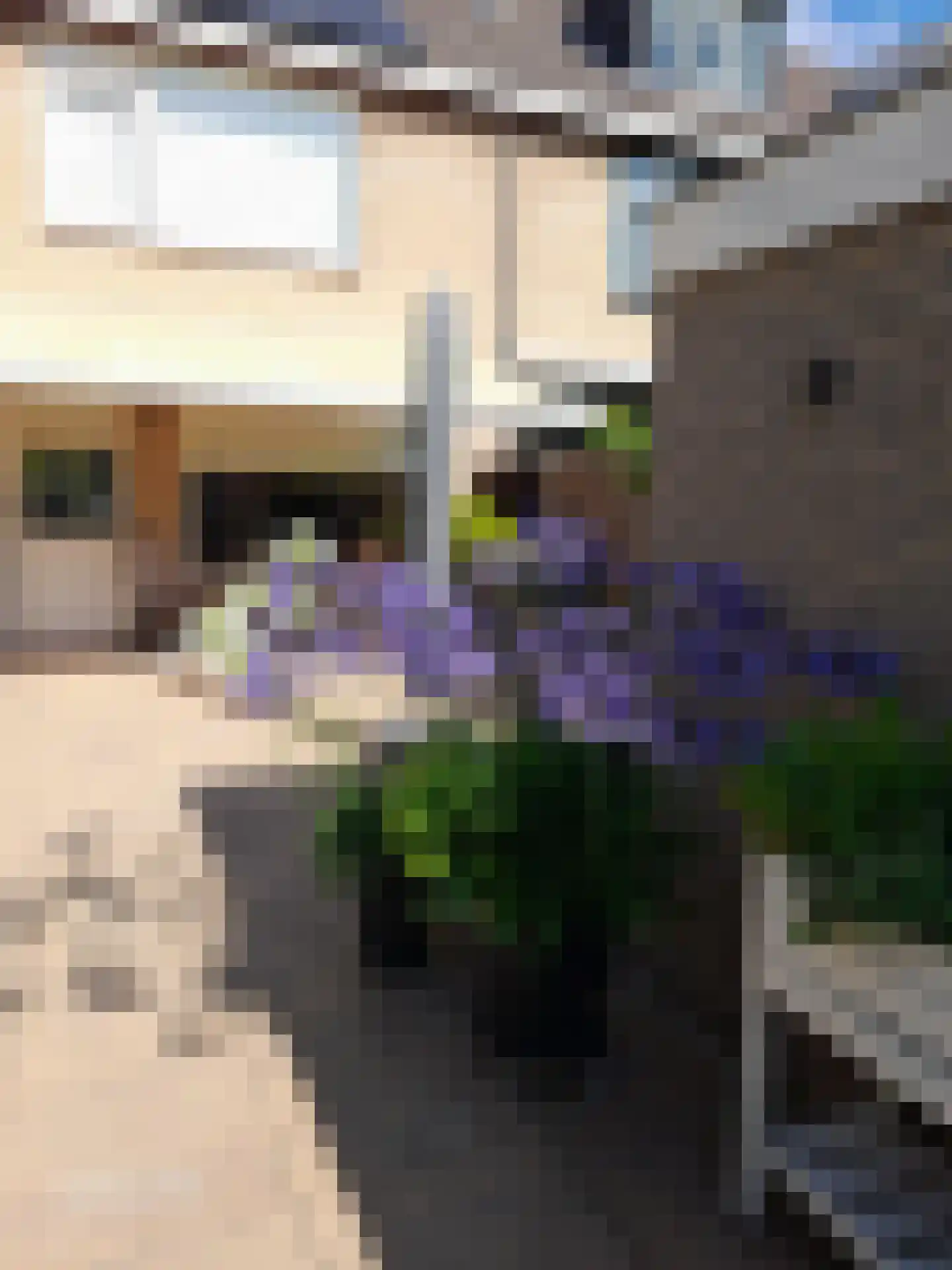 Kagertuinen 71 Sassenheim thumbnail 34