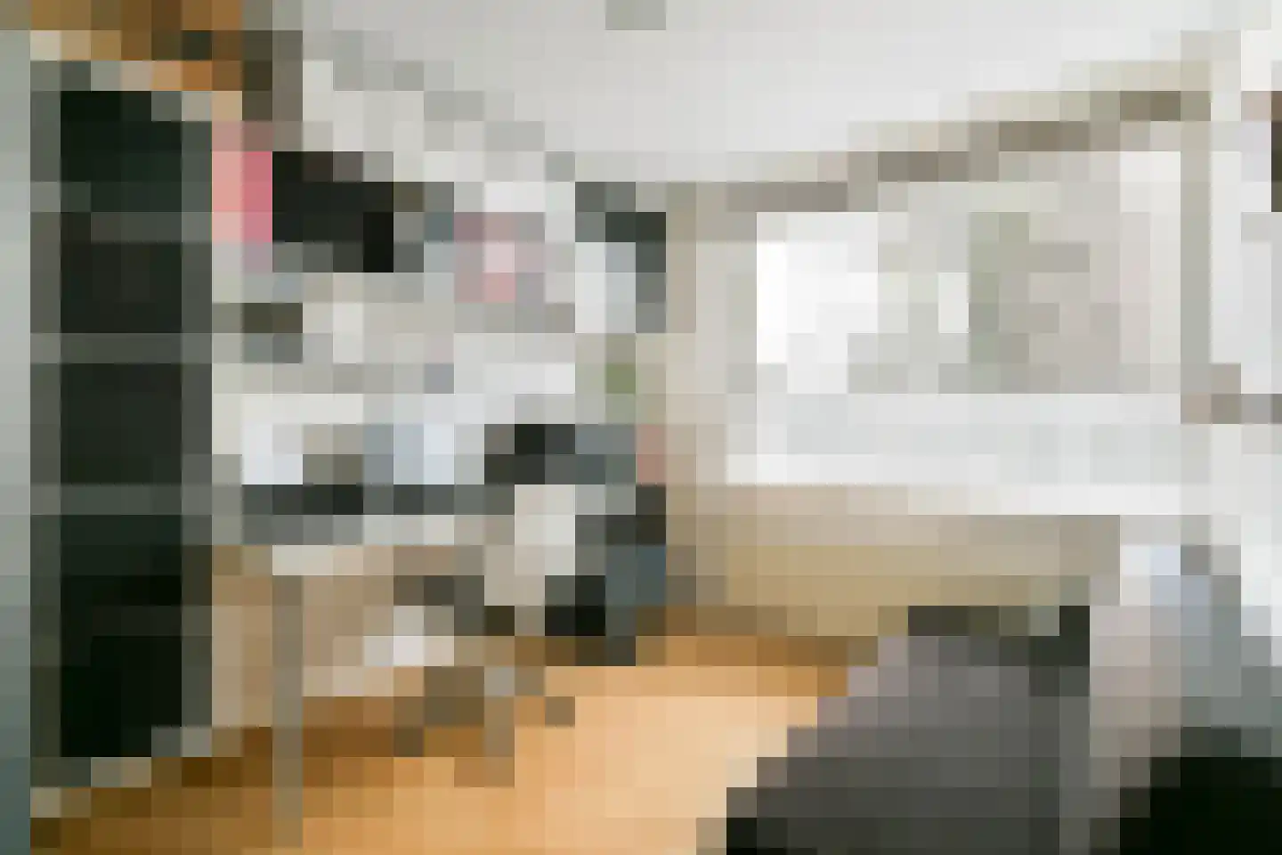 Kagervoorde 11 Sassenheim thumbnail 22