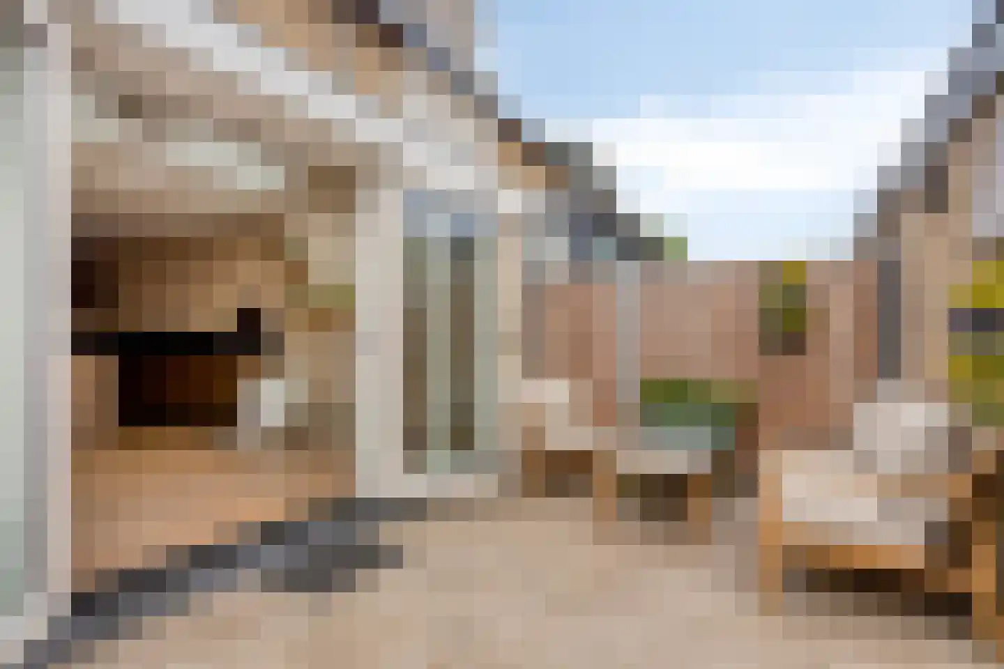 Kagervoorde 7 Sassenheim thumbnail 16
