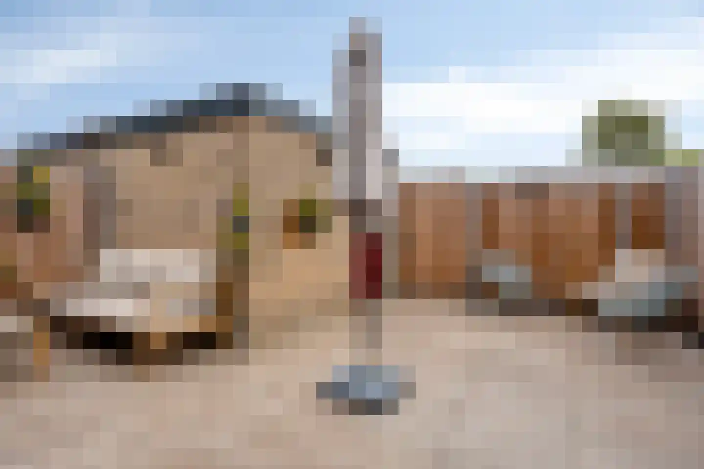 Kagervoorde 7 Sassenheim thumbnail 17