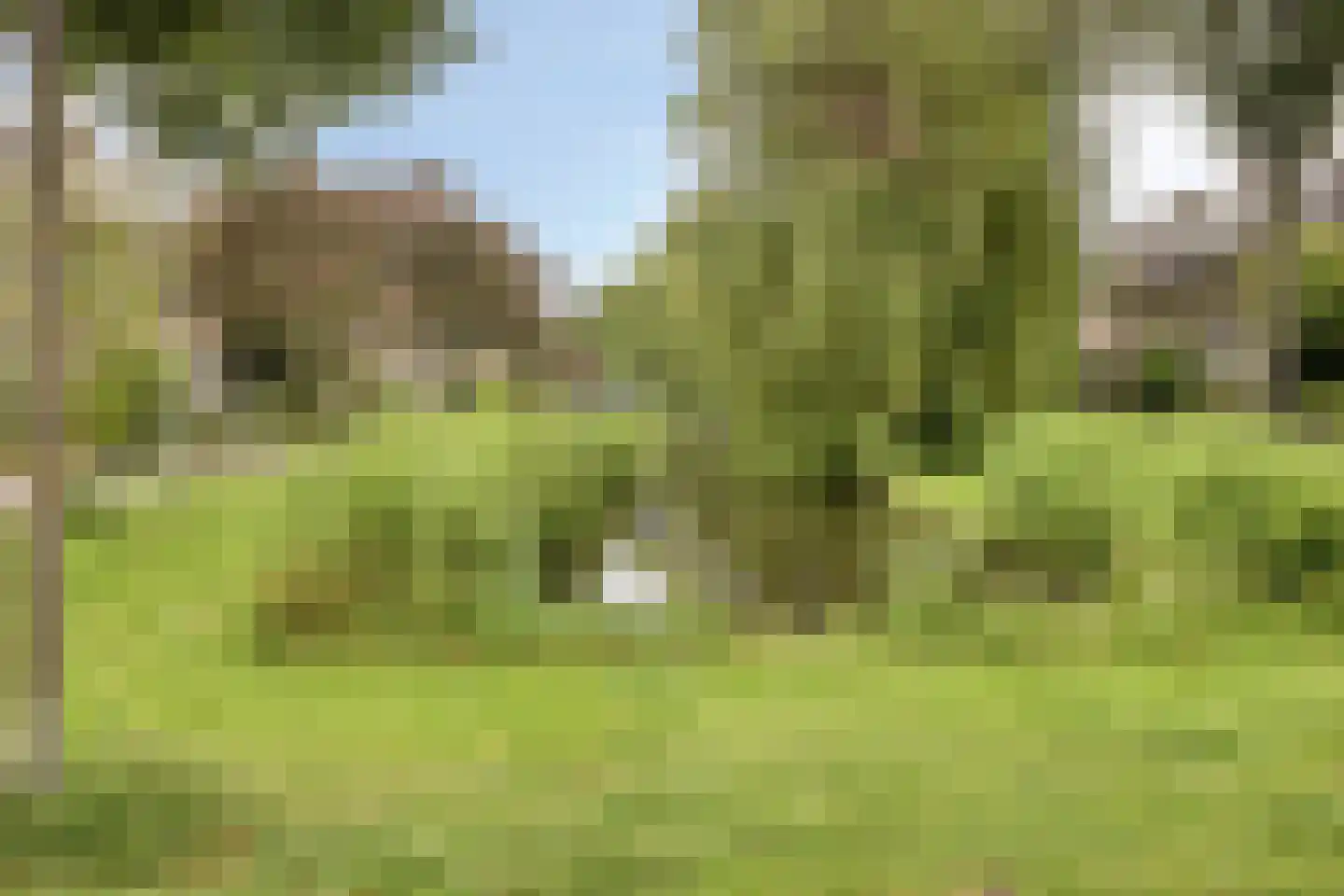Kagervoorde 7 Sassenheim thumbnail 28