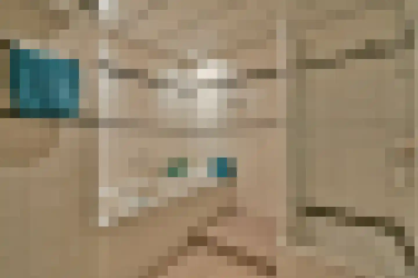 Kagerweide 18 Sassenheim thumbnail 19