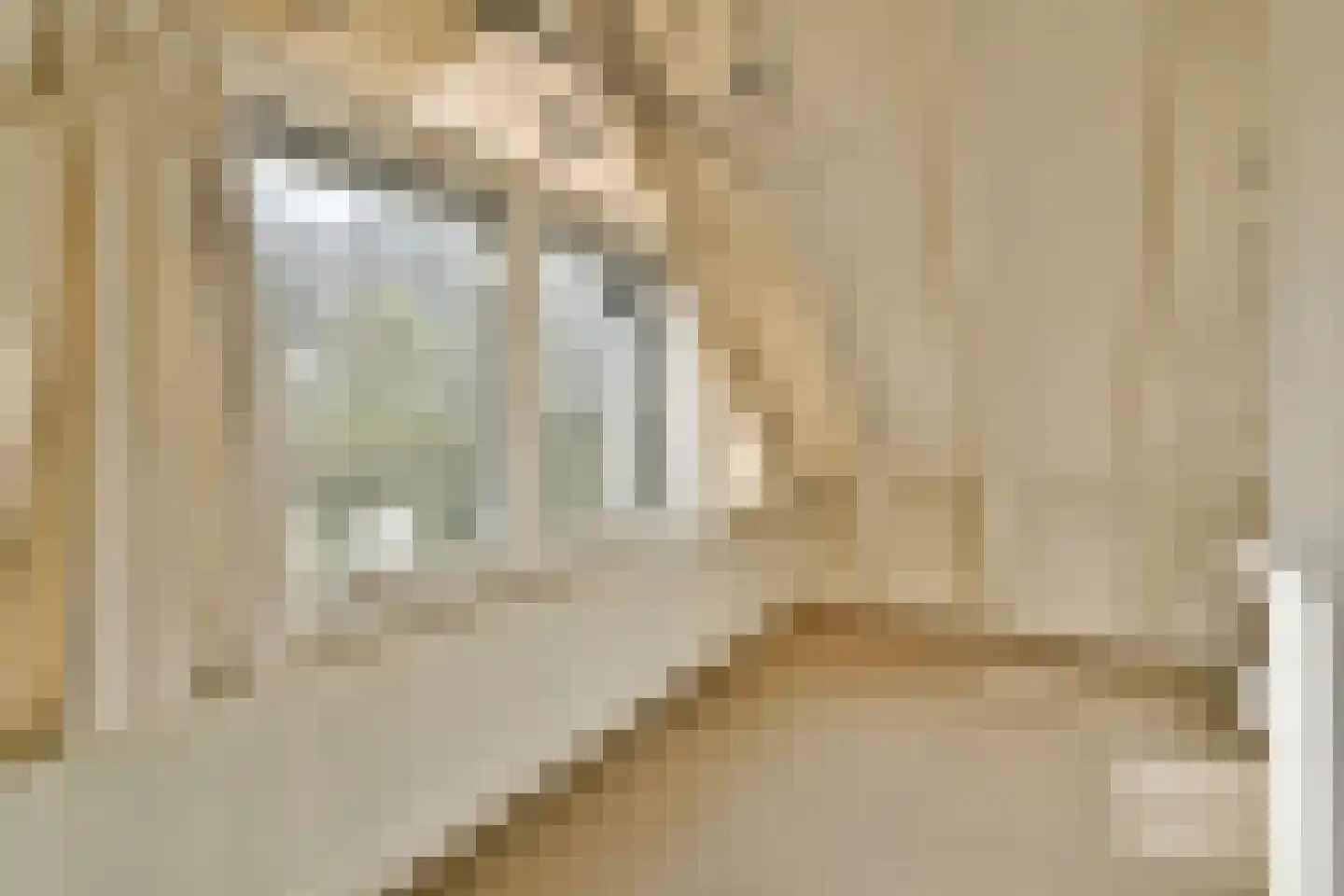 Kagerweide 18 Sassenheim thumbnail 24
