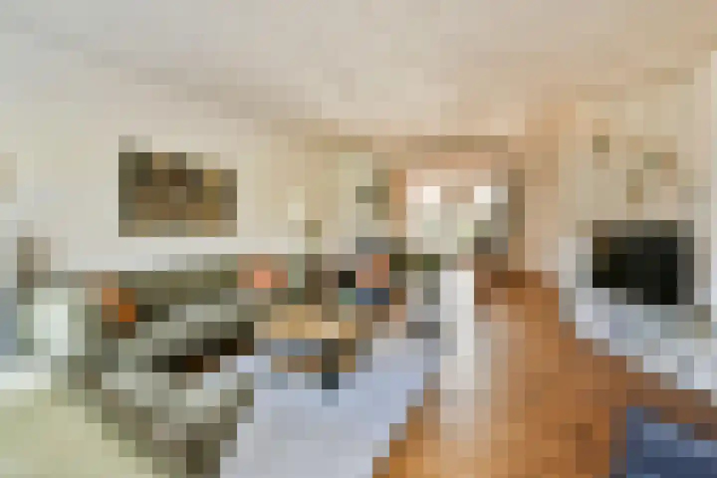 Kagerweide 18 Sassenheim thumbnail 9