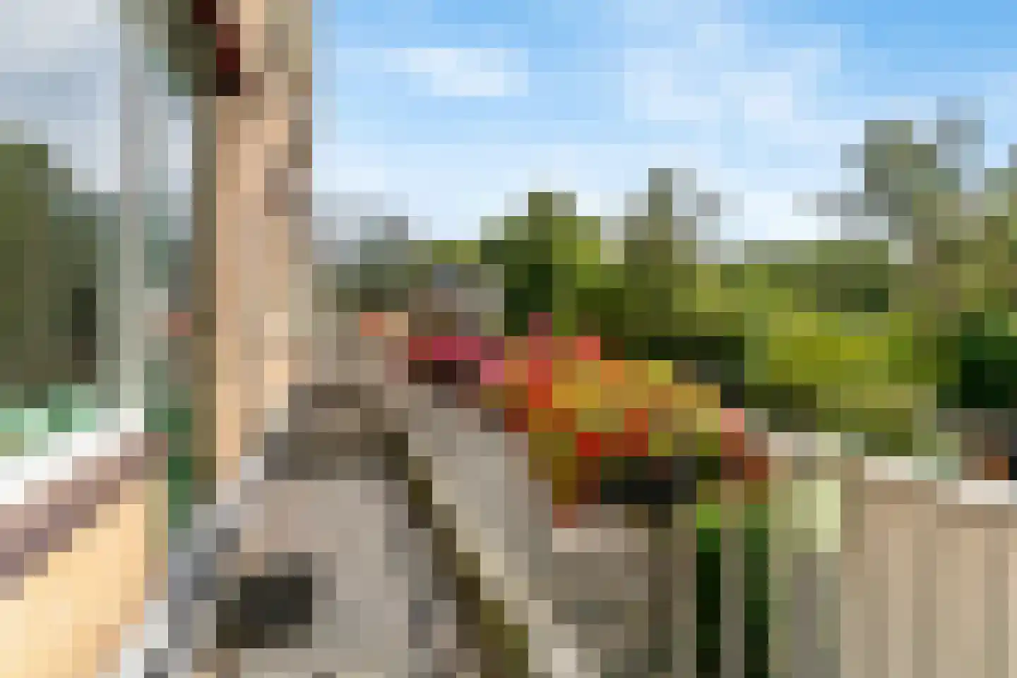 Kagerweide 2 Sassenheim thumbnail 15