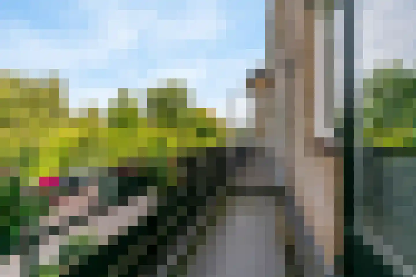 Kagerweide 2 Sassenheim thumbnail 21