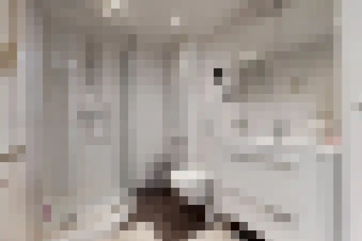 Kagerweide 2 Sassenheim thumbnail 30
