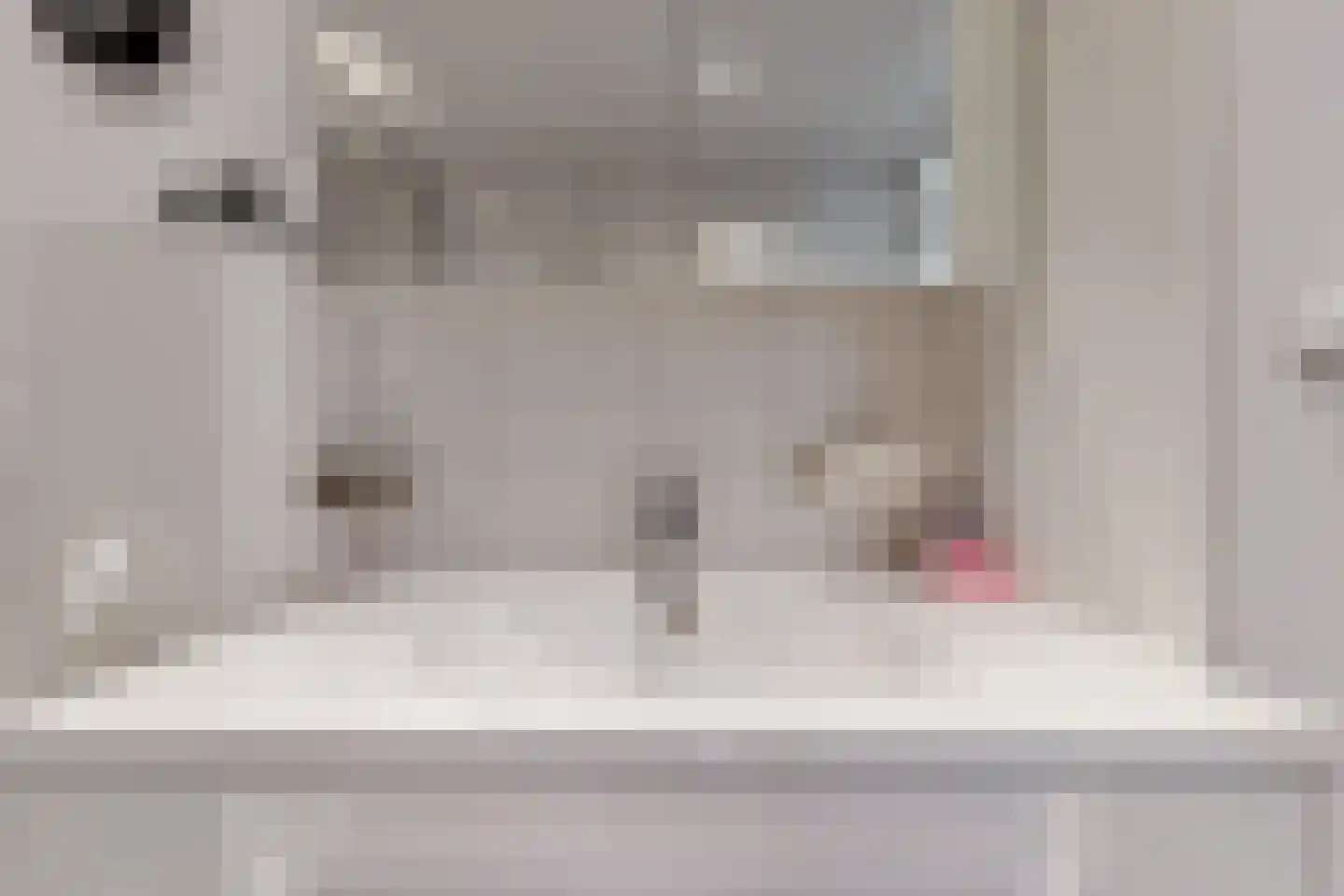 Kagerweide 2 Sassenheim thumbnail 31