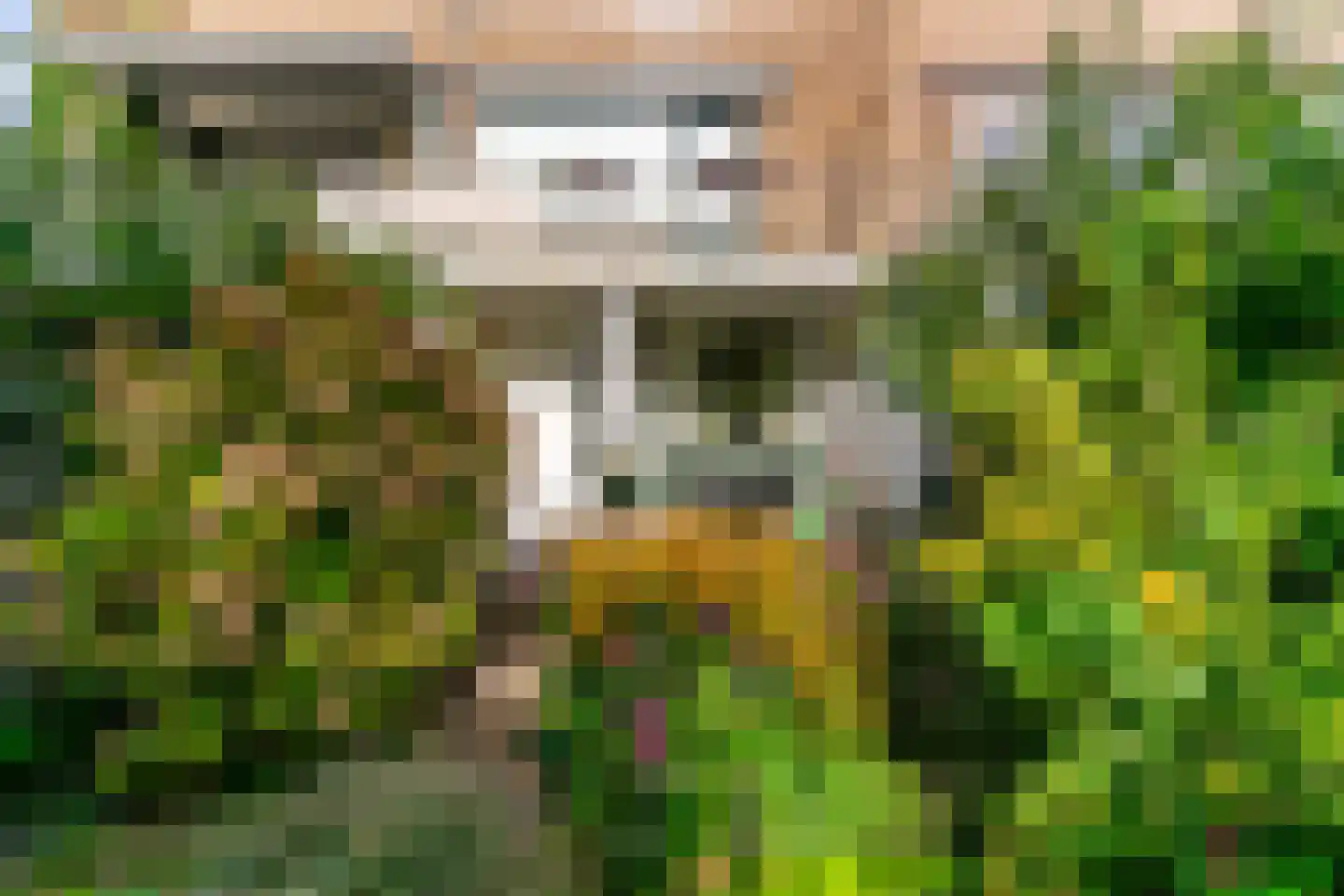 Kagerweide 2 Sassenheim thumbnail 37