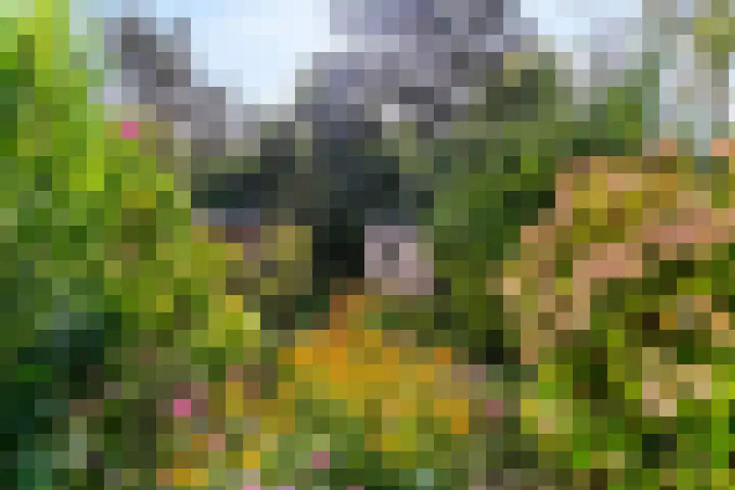 Kagerweide 2 Sassenheim thumbnail 39
