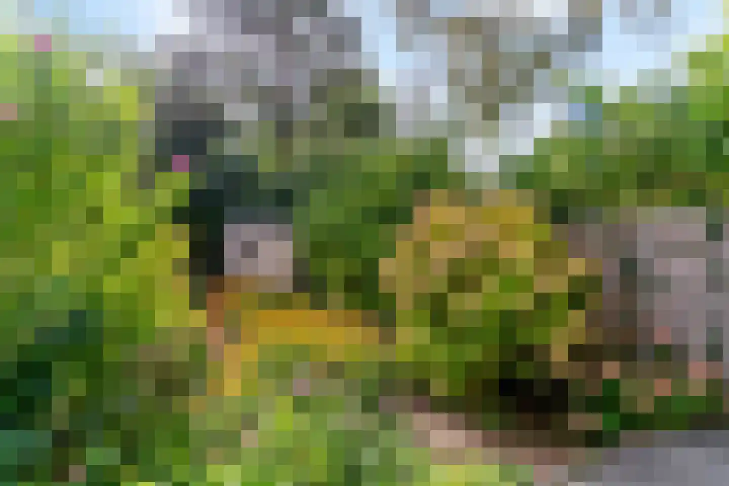 Kagerweide 2 Sassenheim thumbnail 40
