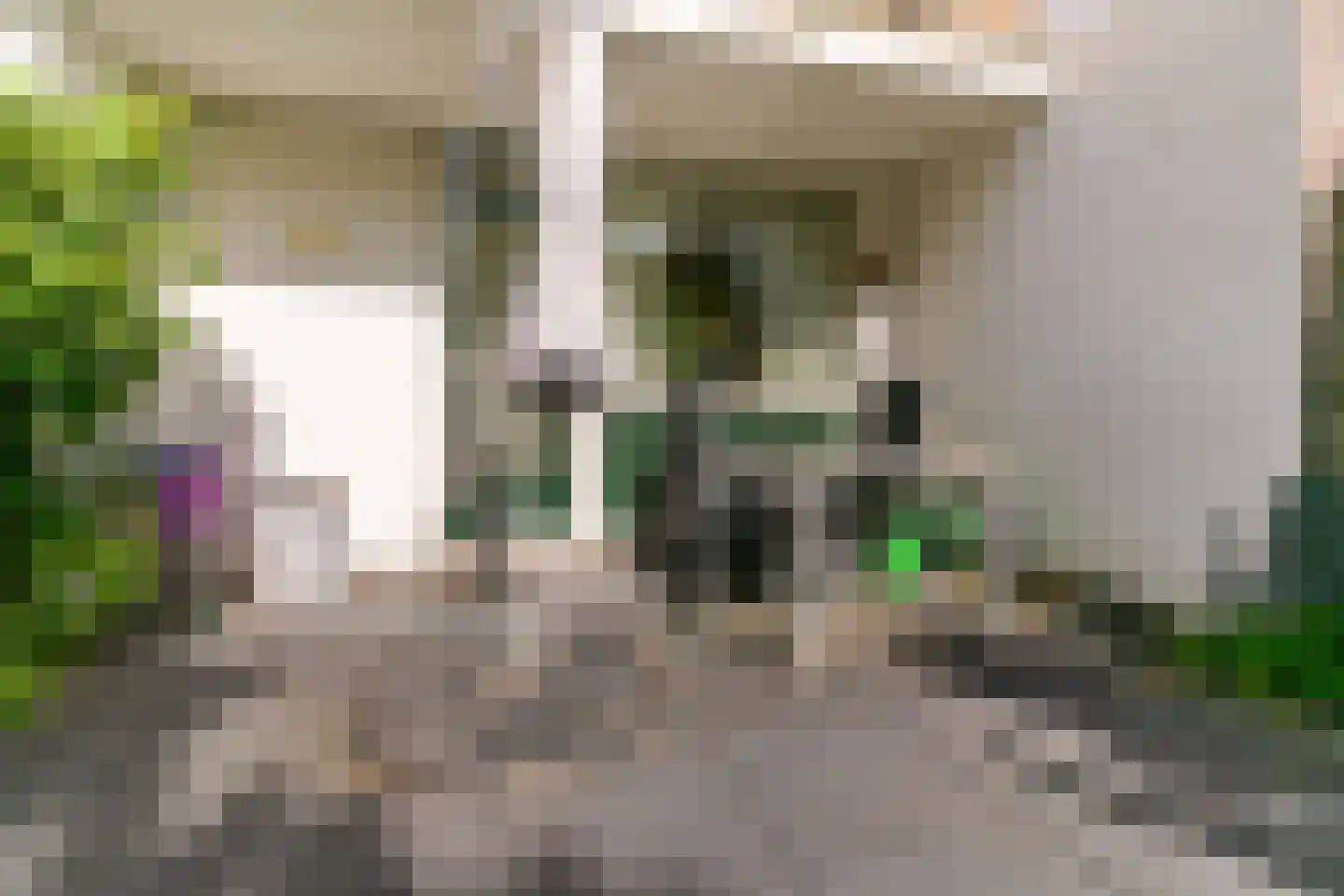 Kagerweide 2 Sassenheim thumbnail 9
