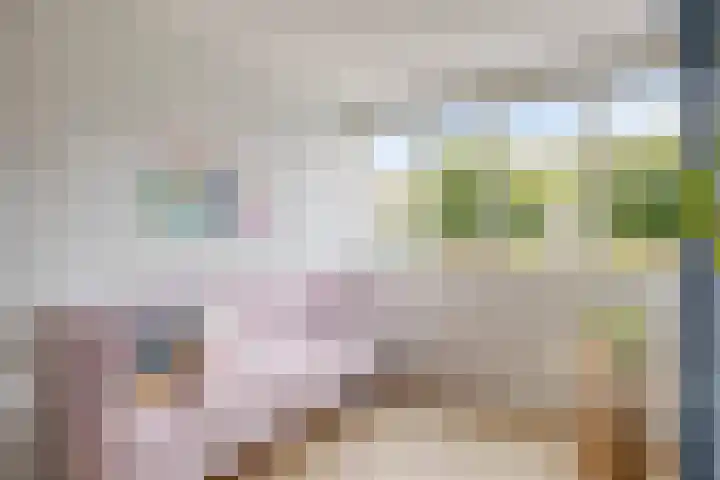 Kajak 7 Veenendaal thumbnail 12