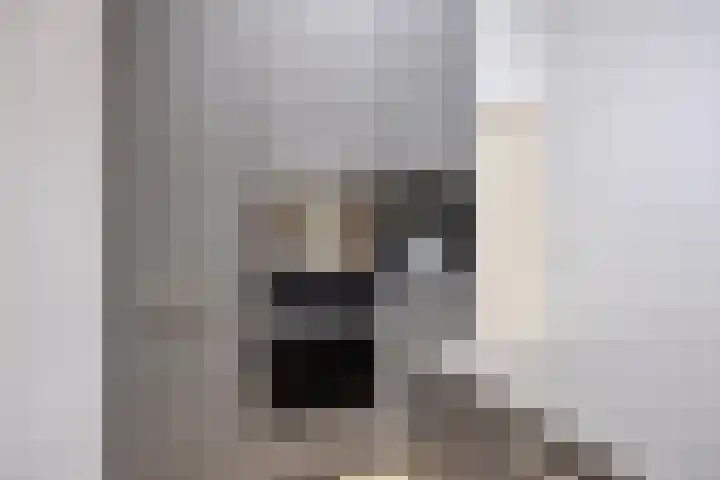 Kajak 7 Veenendaal thumbnail 15
