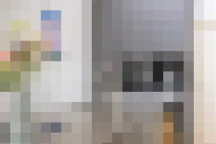 Kajak 7 Veenendaal thumbnail 16