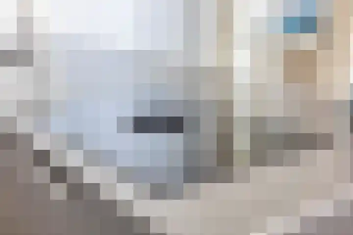 Kajak 7 Veenendaal thumbnail 17