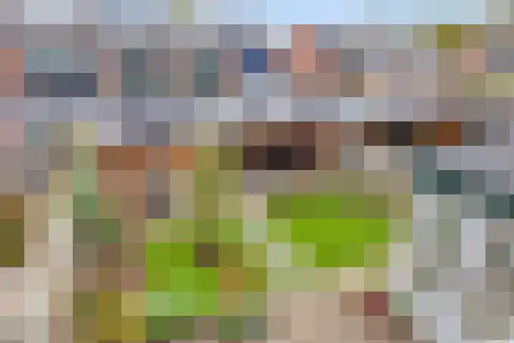 Kajak 7 Veenendaal thumbnail 24