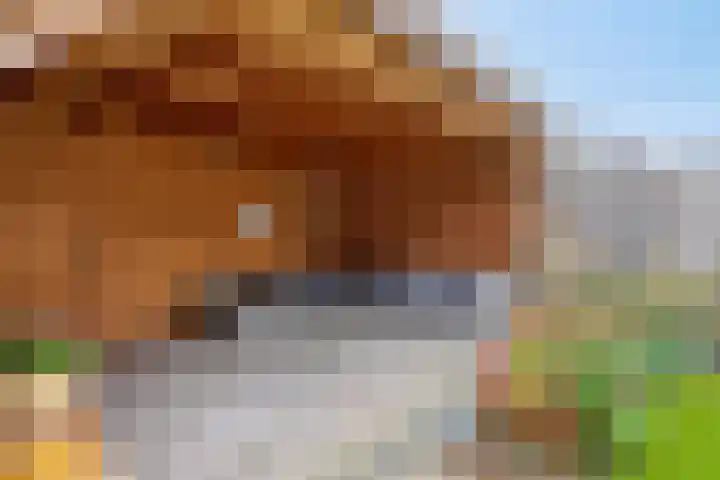 Kajak 7 Veenendaal thumbnail 37