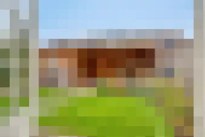 Kajak 7 Veenendaal thumbnail 38