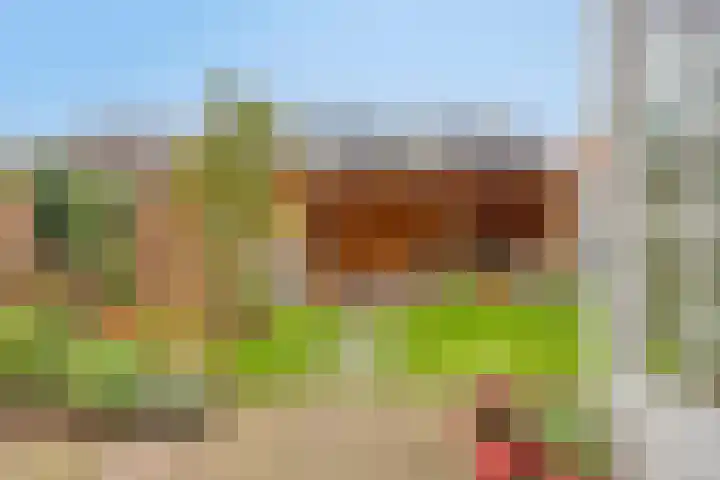 Kajak 7 Veenendaal thumbnail 5