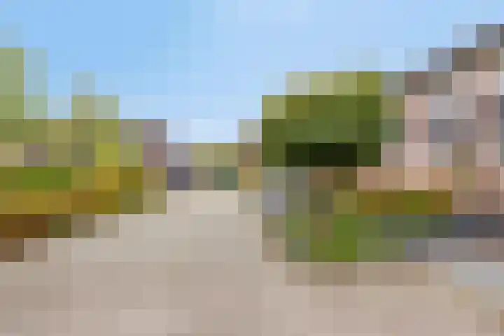 Kajak 7 Veenendaal thumbnail 7