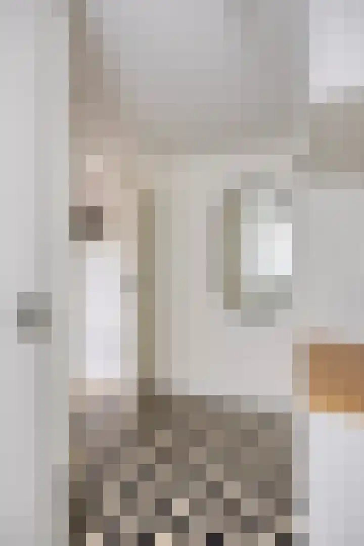 Kajak 7 Veenendaal thumbnail 8