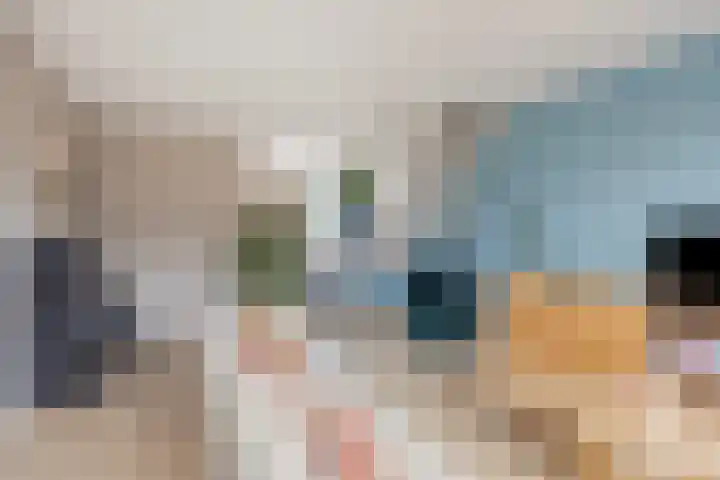 Kajak 7 Veenendaal thumbnail 9