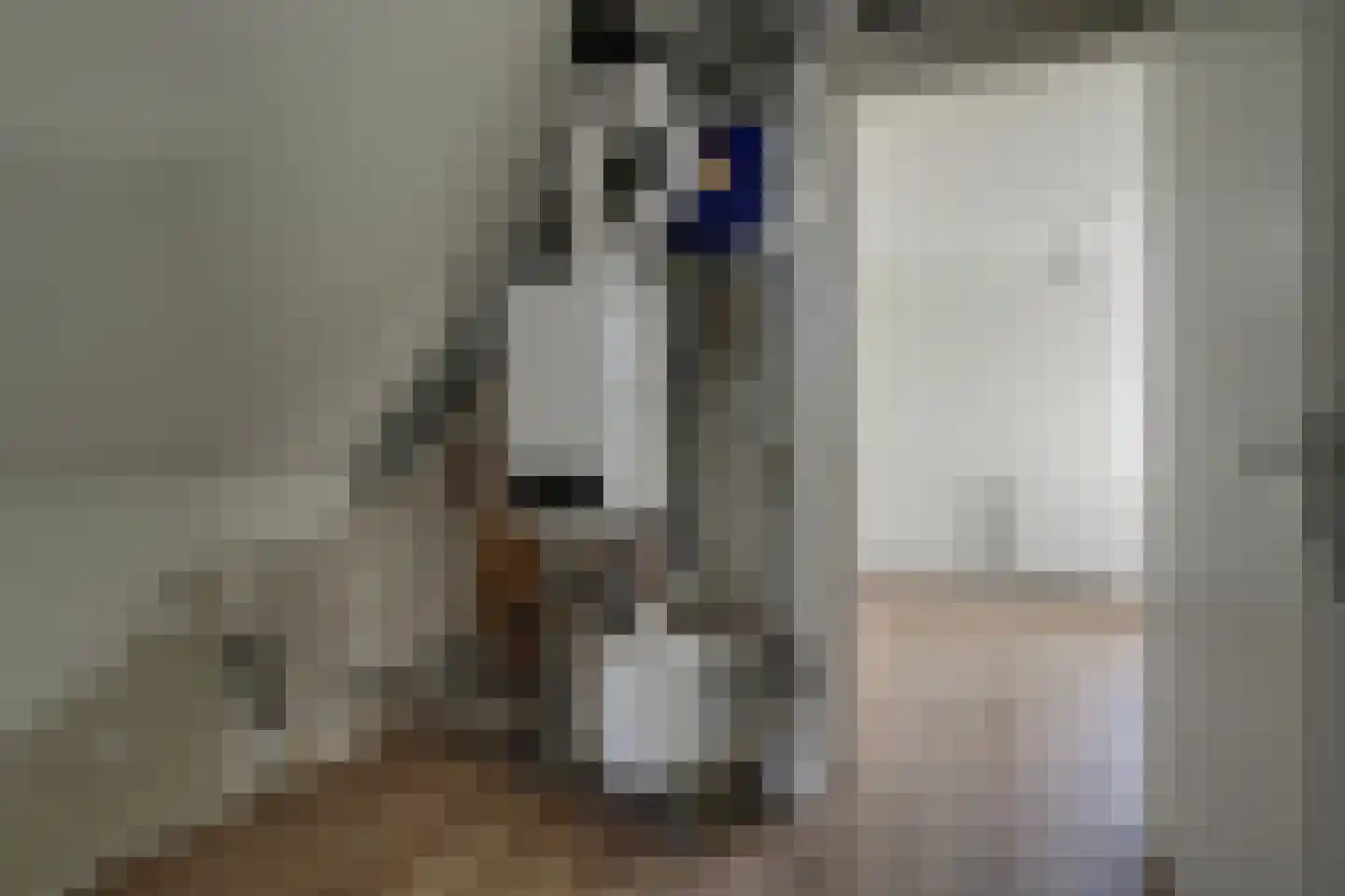 Kajakstraat 1 Alkmaar thumbnail 39