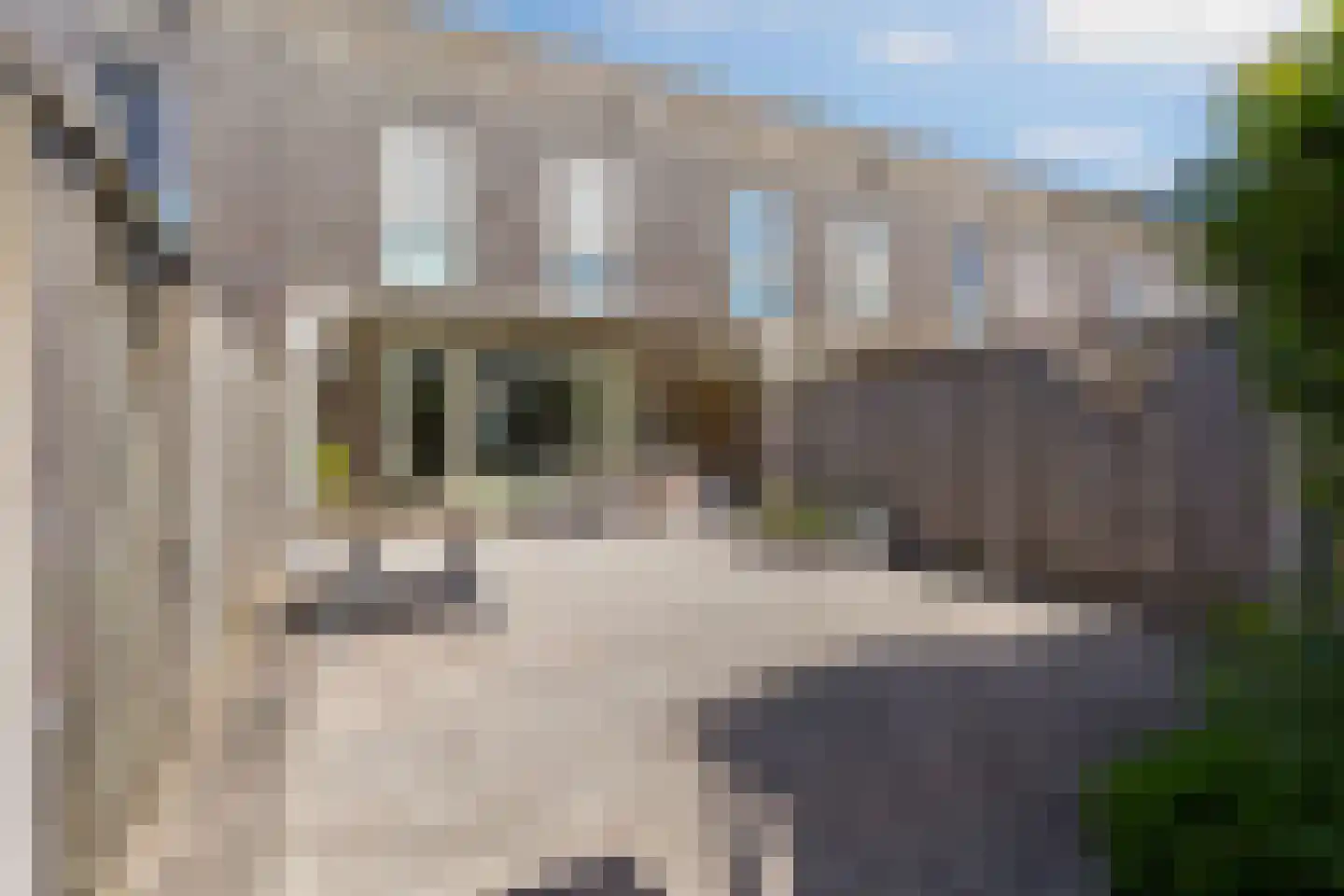Kajuit 114 Almere thumbnail 36