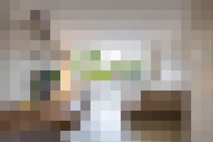 Kajuit 12 Groningen thumbnail 12