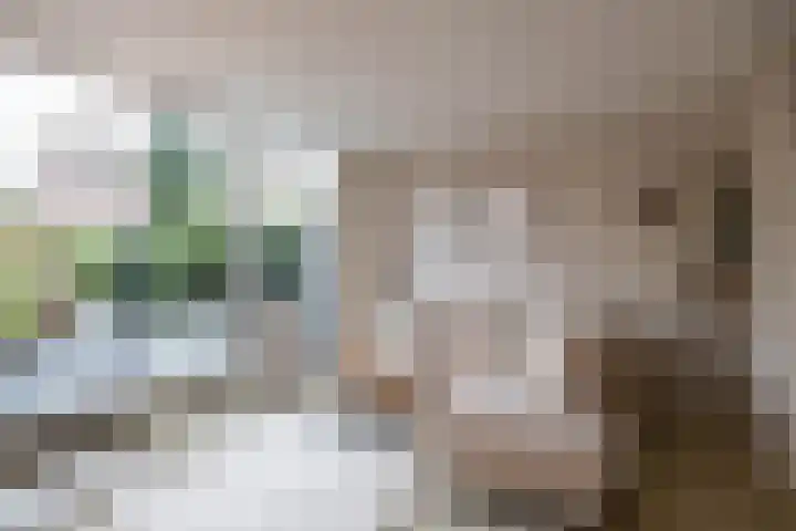 Kajuit 12 Groningen thumbnail 13