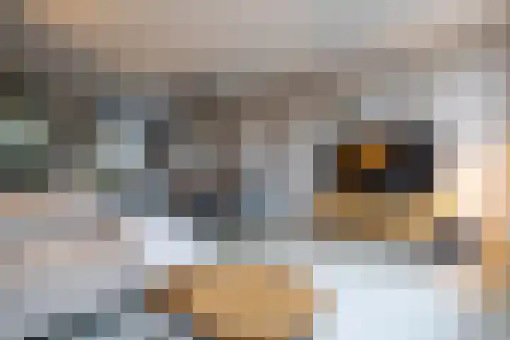 Kajuit 12 Groningen thumbnail 16