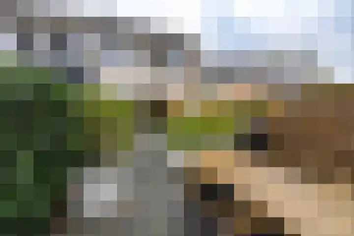 Kajuit 12 Groningen thumbnail 44